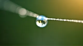 The Stillness Between Frames: Finding Mindfulness Through Manual Photography
